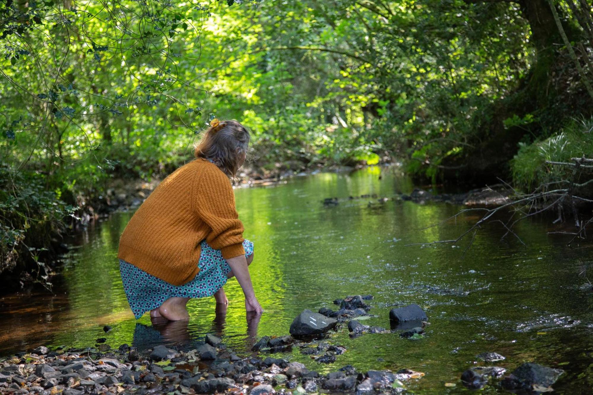 Le Moulin Des Hirondelles Panzió Pluvigner Kültér fotó